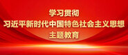 中国肥胖美女日逼录像学习贯彻习近平新时代中国特色社会主义思想主题教育_fororder_ad-371X160(2)